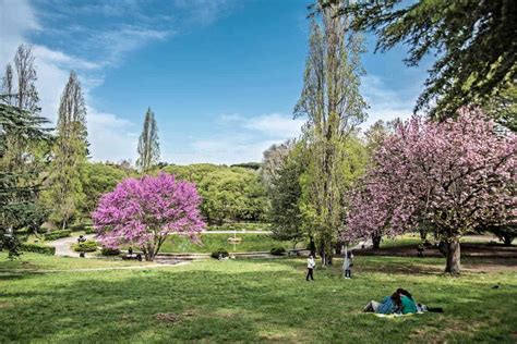 villa borghese innen|Villa Borghese Entrance Tickets and Useful Info